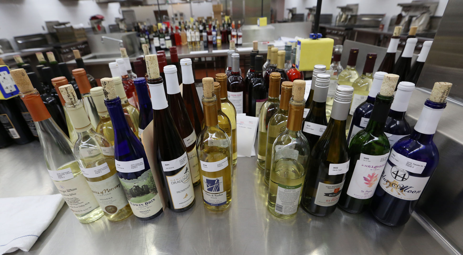 WINE JUDGING